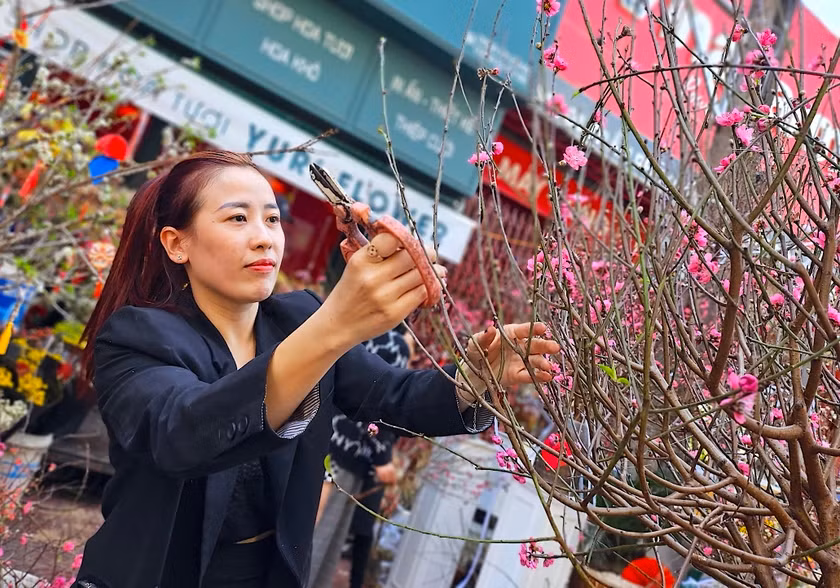 Theo đó, đào mini tại Pleiku giá từ 150.000 - 300.000 đồng/cành; đào huyền mini, đào tròn size trung giá từ 500.000 - 600.000 đồng/cành; đào cành lớn giá khoảng 1-1,2 triệu đồng/cành. Ảnh: Baogialai