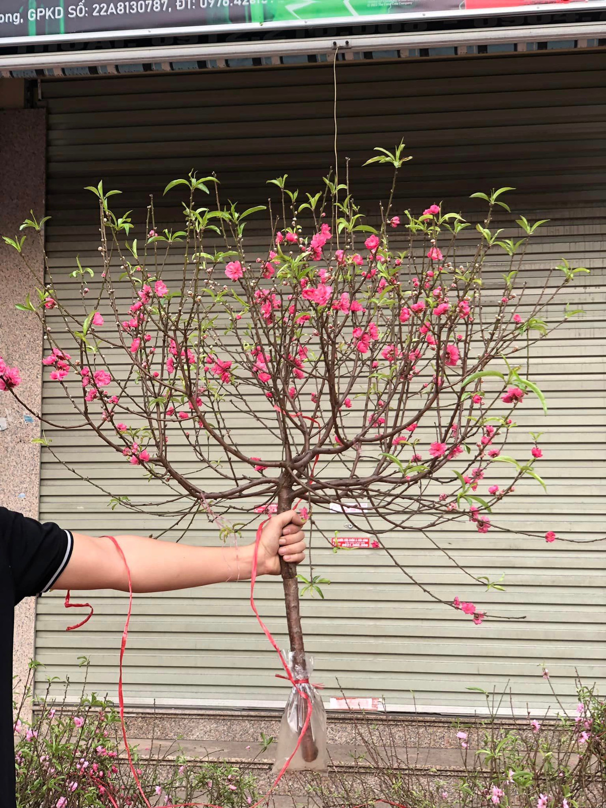 Thậm chí, có ngày chị Duyên mang đến chợ khoảng 1 tiếng đã hết sạch, không còn hàng để bán. Ảnh: Facebook