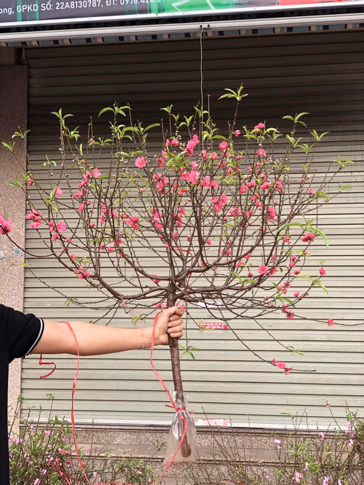 Thậm chí, có ngày chị Duyên mang đến chợ khoảng 1 tiếng đã hết sạch, không còn hàng để bán. Ảnh: Facebook