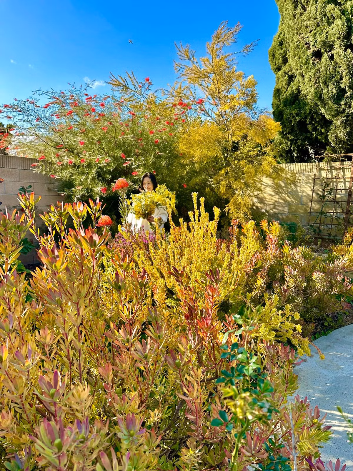 Qua một số hình ảnh chia sẻ trên trang cá nhân, có thể thấy biệt thự của Hồng Đào khá rộng rãi, đặc biệt là khu vườn hoa lá ngập tràn. Ảnh: FBNV