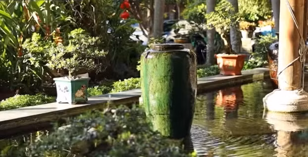 Bao quanh căn nhà là vườn và hồ cá.