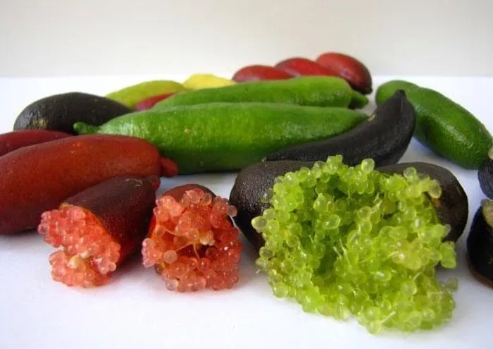 Chanh ngón tay, Australia: Chanh ngón tay có hình thù kỳ lạ, mỗi quả có một màu sắc khác nhau. Nó có nguồn gốc từ các khu rừng nhiệt đới ở Australia nhưng hiện nay được tìm thấy trên khắp thế giới như Nhật Bản, Mỹ, Trung Quốc. Chanh ngón tay có giá 2-3 triệu đồng/kg. Loại chanh này phát triển chậm nhưng lại có vị ngọt dịu, ít chua, giàu chất dinh dưỡng nên trở thành loại quả đắt tiền.