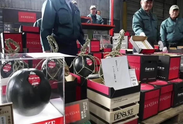 Dưa hấu Densuke: Những quả dưa hấu nổi tiếng thế giới này được trồng độc quyền ở Hokkaido. Dưa hấu Densuke cũng cực kỳ khó trồng, chỉ có một số ít nông dân trồng một số lượng rất hạn chế mỗi mùa. Vì sự quý hiếm này, những quả dưa hấu có thể được bán với giá hơn 6.000 USD/lát. Những quả dưa hấu này cũng rất đa dạng về màu sắc, từ màu xanh lục đậm đến màu đen khác lạ.