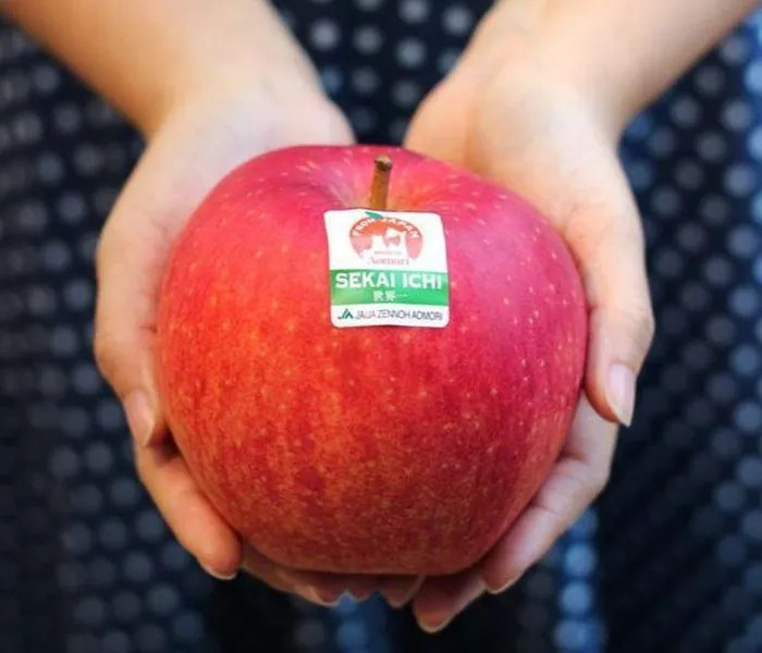 Táo đỏ Sekai Ichi, Nhật Bản: Táo Sekai Ichi có nguồn gốc từ Nhật Bản, được coi là một trong những giống táo lớn nhất, đặc trưng bởi màu hồng nhạt hoặc đôi khi màu đỏ. Táo Sekai Ichi với mỗi quả đạt tiêu chuẩn có chu vi từ 30 đến 46 cm và nặng gần 1 kg. Đây là loại táo đặc biệt chỉ trồng được ở tỉnh Aomori, Nhật Bản. Nó được ca ngợi như loại táo số 1 thế giới, có giá gần 800.000 VNĐ/quả.