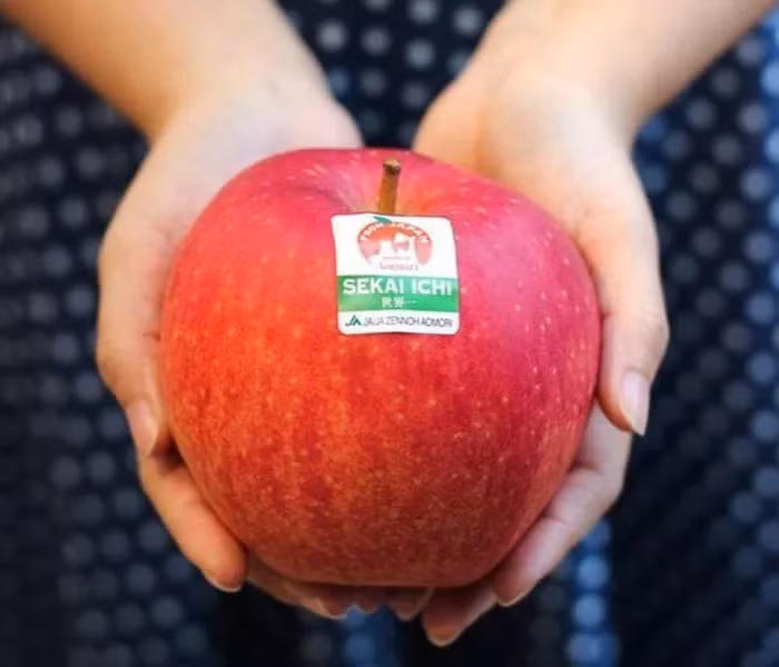 Táo đỏ Sekai Ichi, Nhật Bản: Táo Sekai Ichi có nguồn gốc từ Nhật Bản, được coi là một trong những giống táo lớn nhất, đặc trưng bởi màu hồng nhạt hoặc đôi khi màu đỏ. Táo Sekai Ichi với mỗi quả đạt tiêu chuẩn có chu vi từ 30 đến 46 cm và nặng gần 1 kg. Đây là loại táo đặc biệt chỉ trồng được ở tỉnh Aomori, Nhật Bản. Nó được ca ngợi như loại táo số 1 thế giới, có giá gần 800.000 VNĐ/quả.