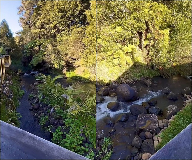 Trong khuôn viên nhà của diễn viên Trương Phương chẳng khác nào một khu nghỉ dưỡng, có cả rừng, suối...