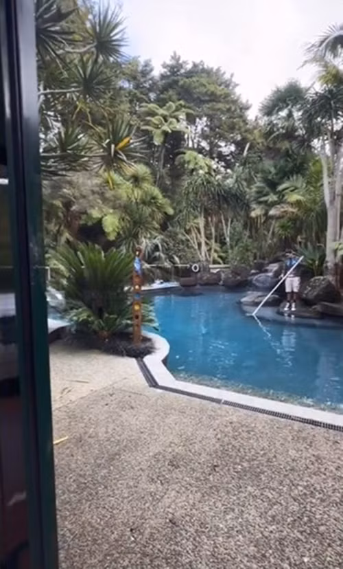 Hồ bơi được bao quanh bởi nhiều cây cối tạo không gian xanh mát và riêng tư.