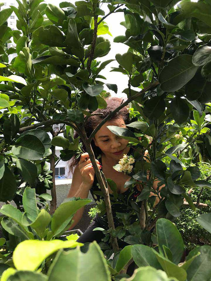 Trước kia, bà Ngọc Hương từng nhiều lần chia sẻ cảnh làm vườn trong căn biệt thự rộng rãi. Ảnh: FB Ngoc Hương