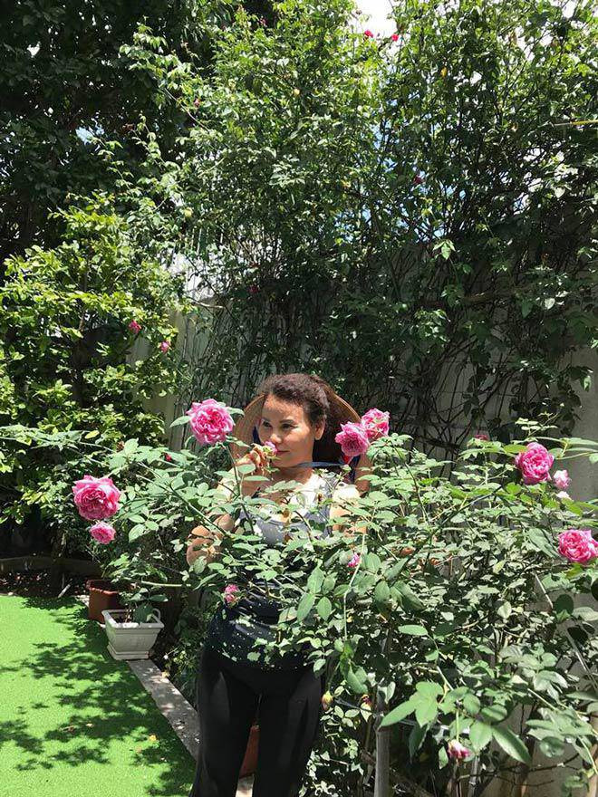 Ngoài rau xanh, mẹ ruột Hà Hồ còn trồng hoa hồng trổ bông rực rỡ. Ảnh: FB Ngoc Hương
