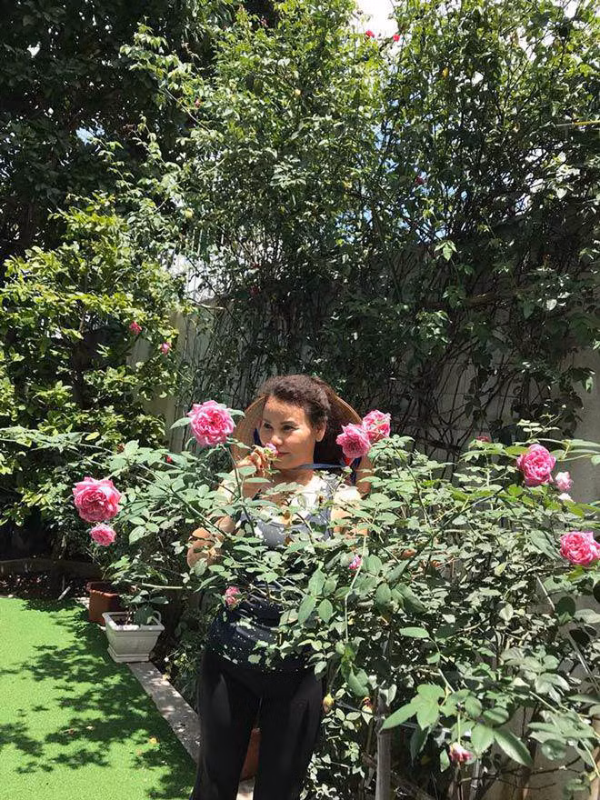 Ngoài rau xanh, mẹ ruột Hà Hồ còn trồng hoa hồng trổ bông rực rỡ. Ảnh: FB Ngoc Hương