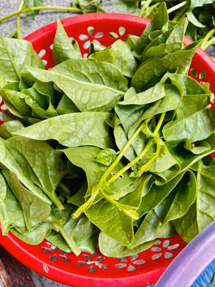 Rau mồng tơi xanh mướt do tự tay mình trồng khiến mẹ Hà Hồ thấy vui mừng. Ảnh: FB Ngoc Hương