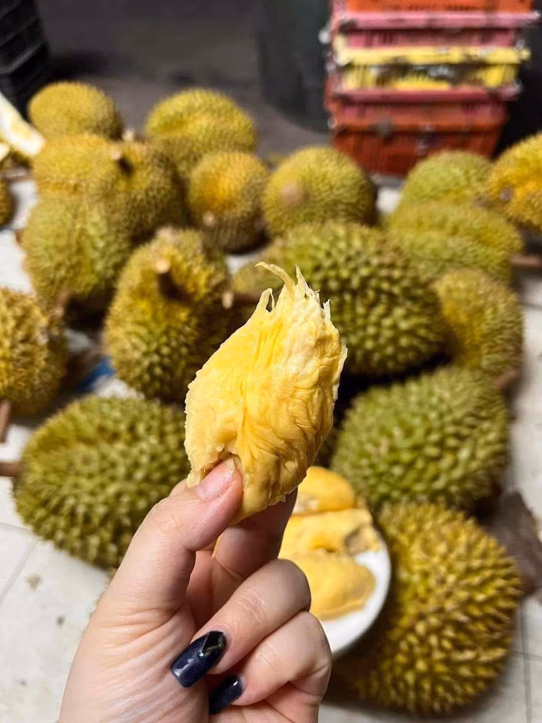 Nhưng năm nay, giá sầu riêng trong nước cao hơn sầu riêng mini nhập khẩu Thái Lan.