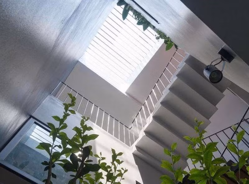 Nhiều gia đình không lưu tâm đến hệ thống thoát nước sàn nên vào mùa mưa có thể gây nên tình trạng ứ đọng nước khiến cây xanh dễ chết. Ảnh: Sketch