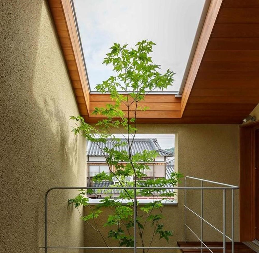 Trồng cây xanh ở khu vực giếng trời là phương án được nhiều gia chủ ưa chuộng. Tuy nhiên, gia chủ nên cân nhắc các loại cây trồng và cách trồng cây phù hợp, tránh rụng lá quá nhiều, gây mất thẩm mỹ... Ảnh: ARC REAL