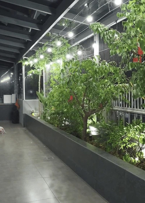 Ngô Kiến Huy tiết lộ bản thân sợ độ cao nên xung quanh rào chắn cẩn thận, trồng nhiều cây xanh.