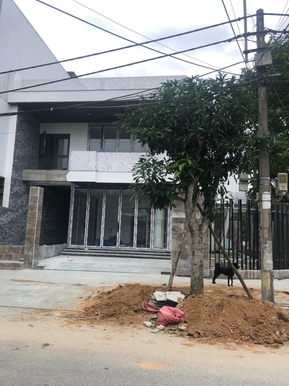 Nam diễn viên ưu tiên trồng nhiều cây xanh xung quanh nhà. Ảnh: FBNV