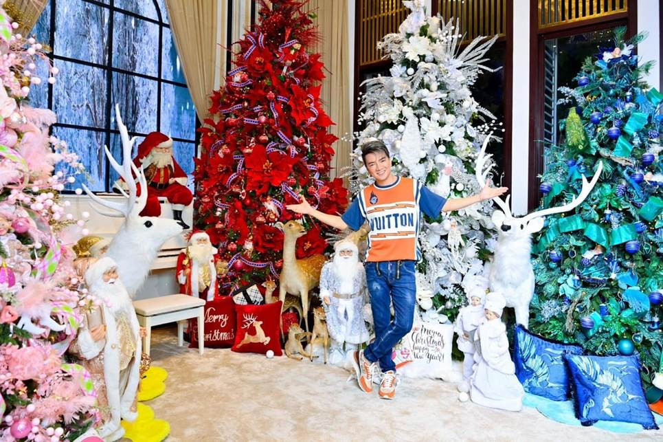 Đặc biệt, vào các dịp lễ, tết, Đàm Vĩnh Hưng thường thiết kế nhà và khu vườn theo chủ đề đặc biệt cho khán giản đến chụp hình.