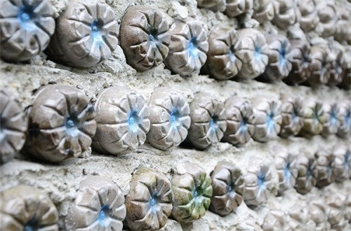 Phần đít chai trông như những bông hoa. Ảnh: Người lao động