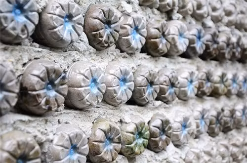 Phần đít chai trông như những bông hoa. Ảnh: Người lao động