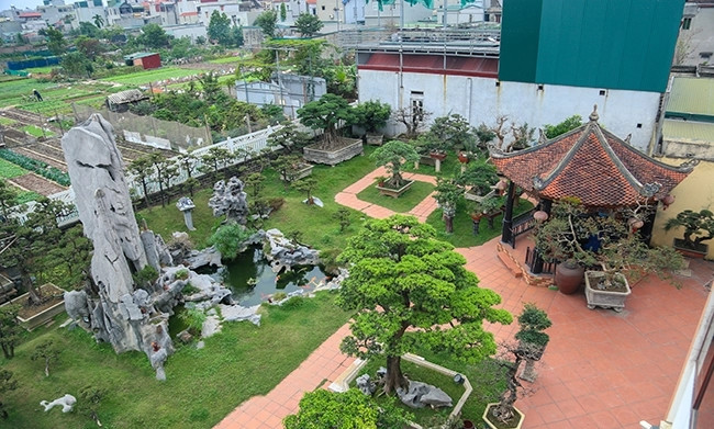 Ông Thành sở hữu vườn cây rộng hơn 2000 m2 với hơn 200 cây cảnh nghệ thuật thuộc hàng quý hiếm ở Việt Nam. Ảnh: Dân Việt