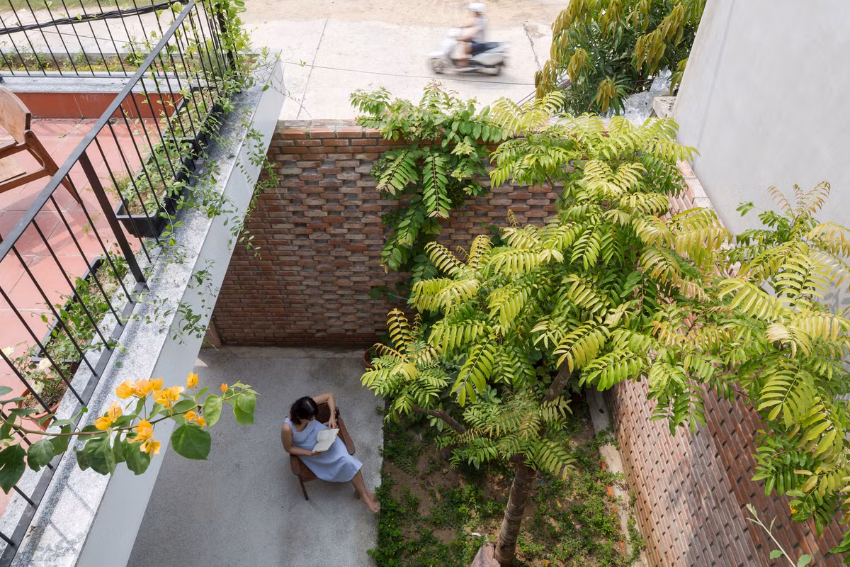 Cây xanh là yếu tố không thể thiếu trong nhà. Ảnh: Hoàng Lê