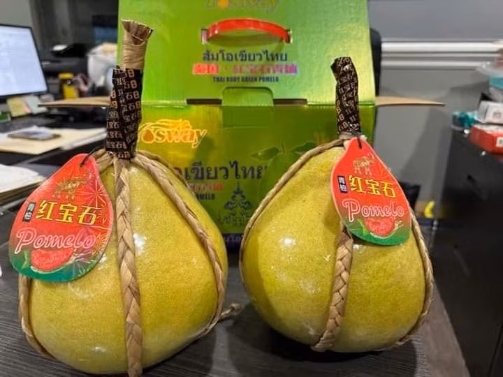 Do mức giá đắt đỏ nên bưởi ruby Thái Lan chủ yếu đều được khách hàng đặt mua làm quà biếu Tết. Vỏ bưởi màu xanh mướt, hơi vàng, cầm chắc tay. Ảnh: Facebook