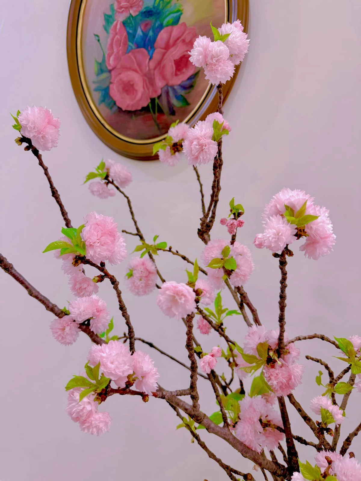 Qua Tết đã lâu nhưng trong căn hộ của MC Diệp Chi vẫn có đào để ngắm.