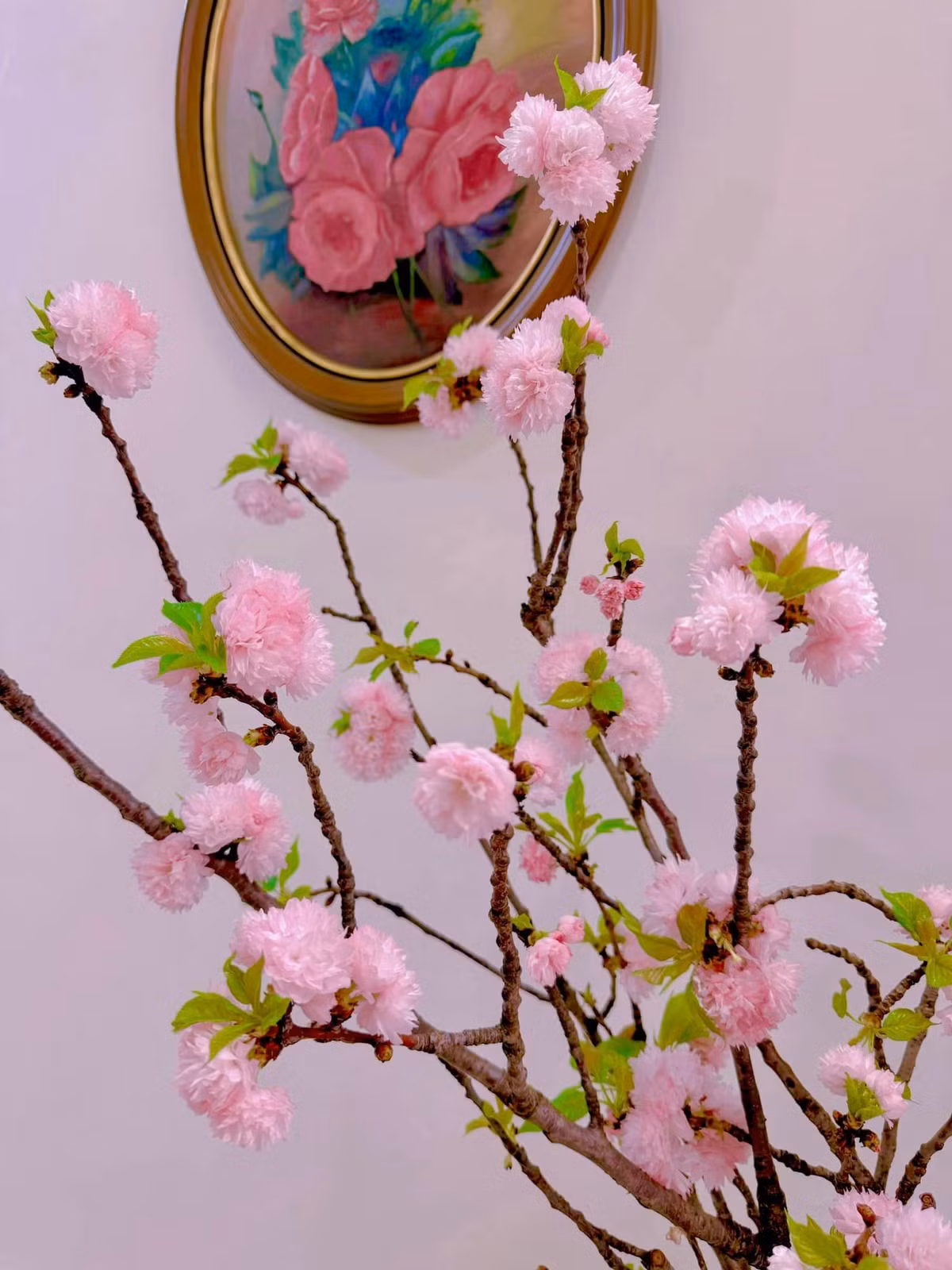 Qua Tết đã lâu nhưng trong căn hộ của MC Diệp Chi vẫn có đào để ngắm.