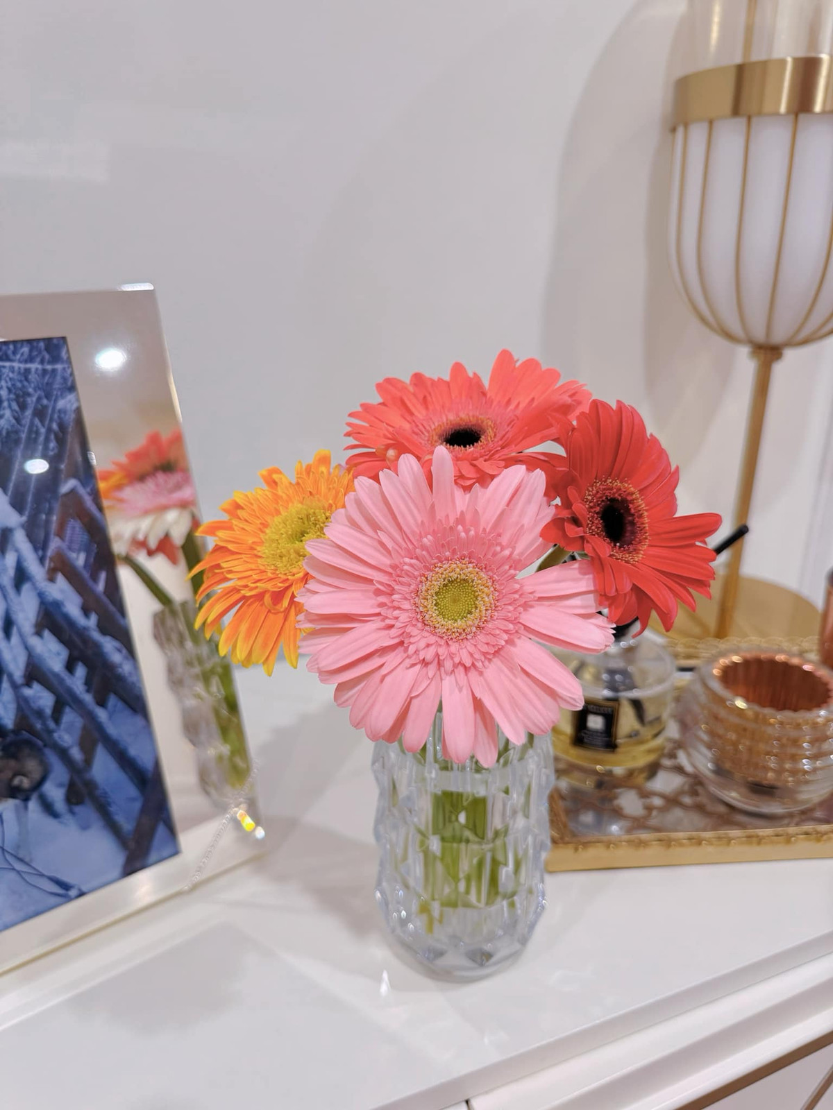 Thêm một bình hoa đồng tiền kép xinh xinh bày ở tủ giày.