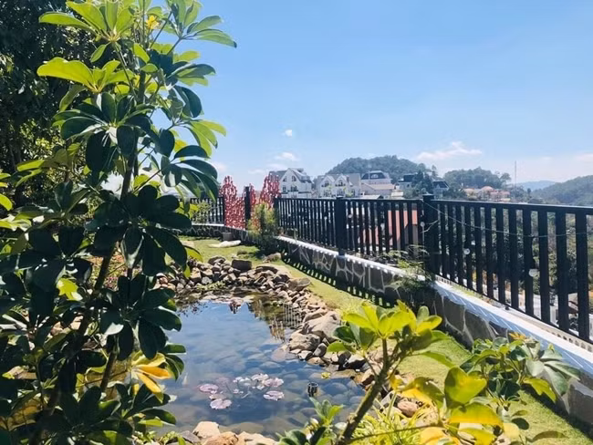 Trong khuôn viên biệt thự có thảm thực vật xanh vừa giúp không khí trong lành, vừa tạo cảm giác mát mẻ, yên bình.