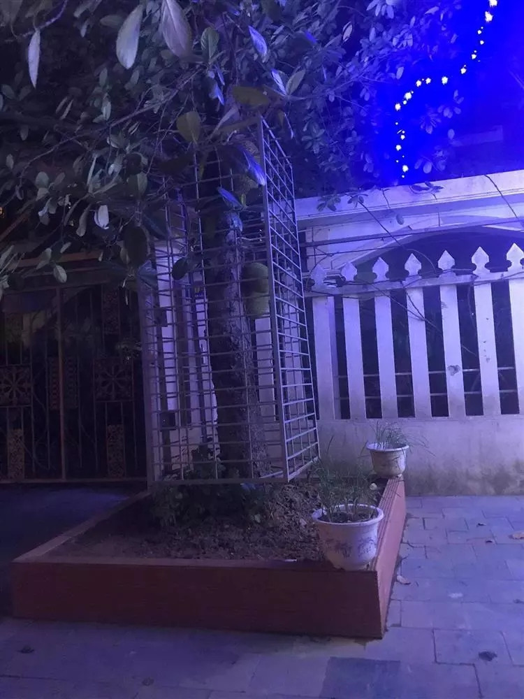 Năm nào quả mít cũng bị hái trộm nên chủ nhân làm một hàng rào chắn bằng sắt "kín cổng cao tường". Với cách này, kẻ gian chạm vào quả mít còn khó chứ nói gì đến vặt trộm. Ảnh: TikTok