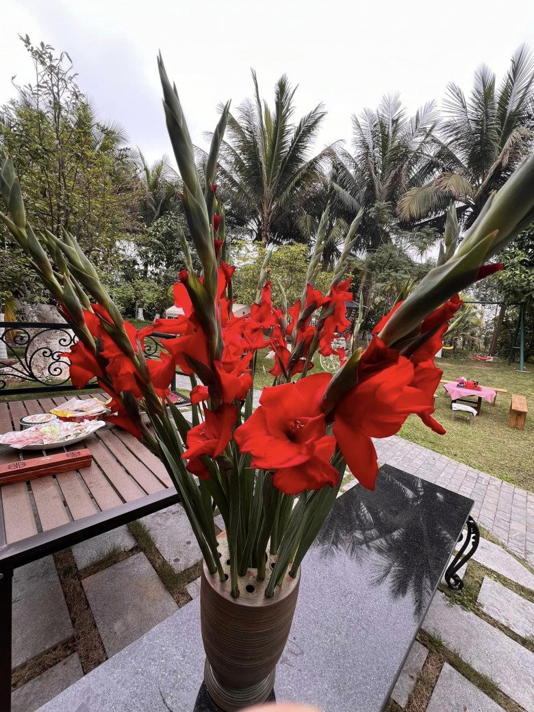 Không gian sống an yên, gần gũi thiên nhiên của vợ chồng nghệ sĩ Xuân Bắc. Nguồn ảnh; FBNV