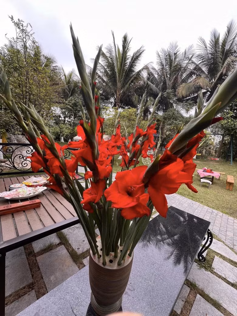 Không gian sống an yên, gần gũi thiên nhiên của vợ chồng nghệ sĩ Xuân Bắc. Nguồn ảnh; FBNV