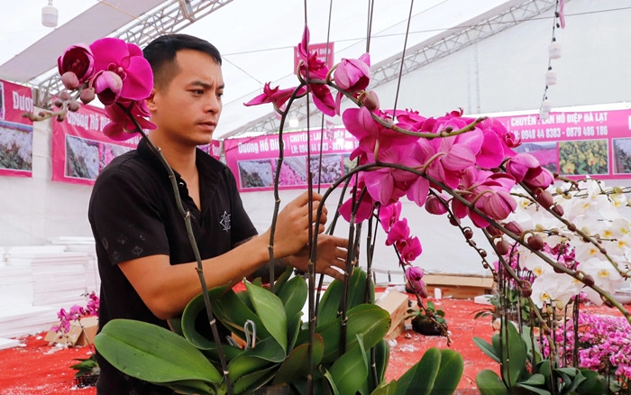 Những ngày này, các thợ cắm hoa phải làm việc liên tục từ sáng đến đêm, cho thu nhập từ 1-2 triệu đồng/ngày. Ảnh: Dân Việt