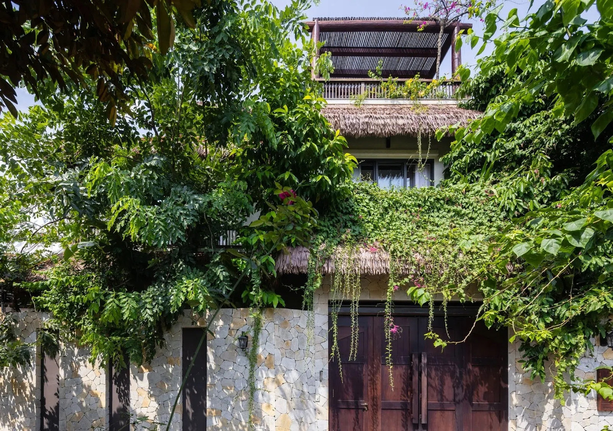 Bức tường đá thô và cây xanh tươi tốt ở phía Tây Bắc tạo nên một bức bình phong tự nhiên, ngăn cách không gian sống với sự ồn ào bên ngoài, đồng thời giúp giảm thiểu bụi bẩn và bức xạ nhiệt. Ảnh: Triệu Chiến