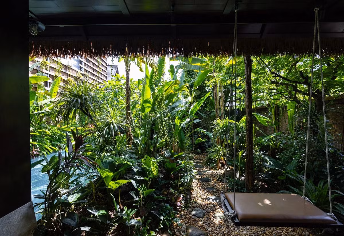 Sân trước được thiết kế như một vùng đệm, điều hòa vi khí hậu và cung cấp ánh sáng tự nhiên dịu nhẹ. Ảnh: Triệu Chiến