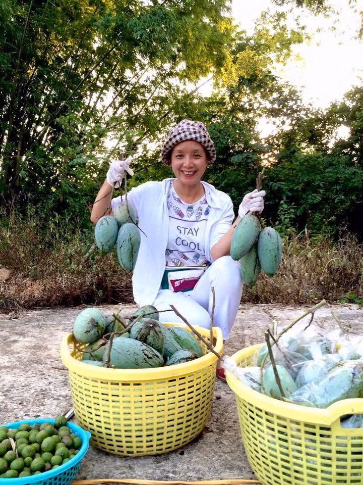 Những trái xoài to, căng mọng trông thích mắt.