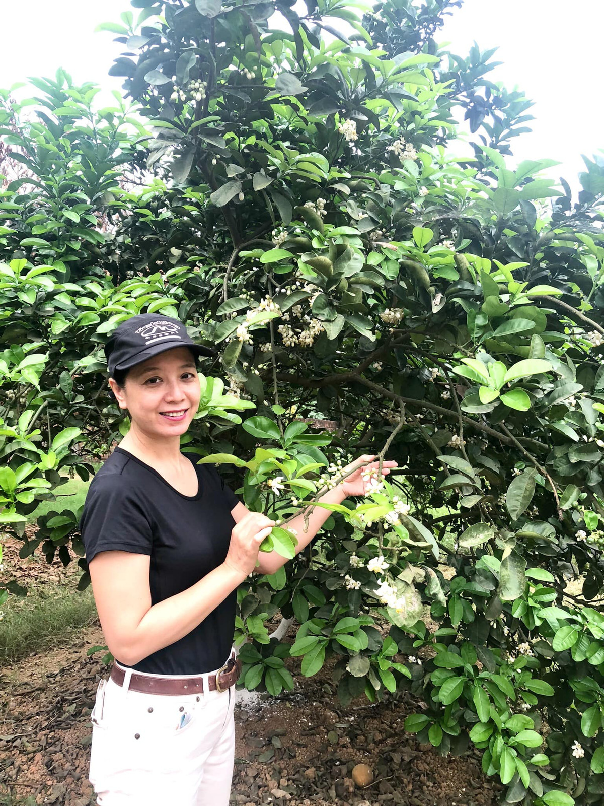 Ngoài căn biệt thự cổ ở mặt phố, vợ chồng nghệ sĩ Chiều Xuân còn sở hữu nhà vườn rộng đến 1.000m2 ở ngoại thành Hà Nội.