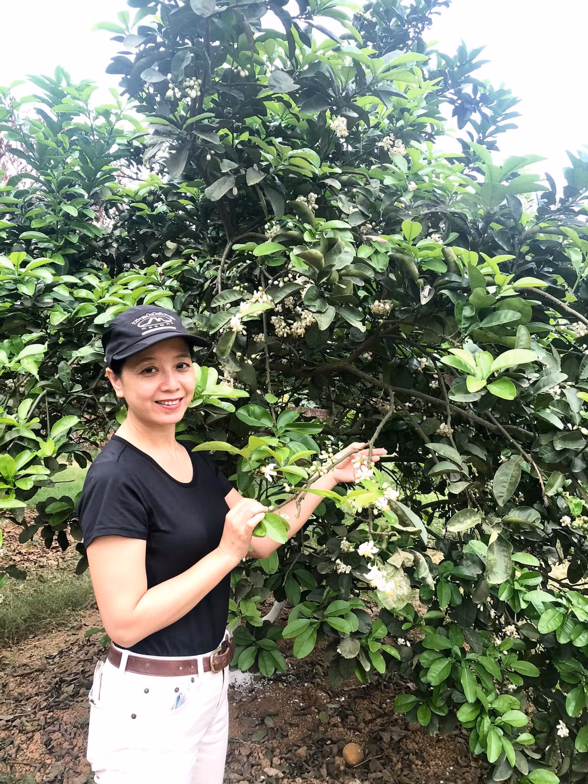 Ngoài căn biệt thự cổ ở mặt phố, vợ chồng nghệ sĩ Chiều Xuân còn sở hữu nhà vườn rộng đến 1.000m2 ở ngoại thành Hà Nội.