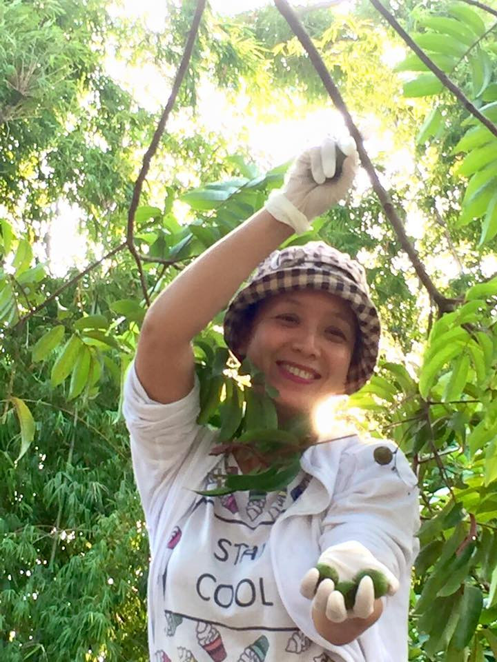 Trong vườn, nữ nghệ sĩ trồng nhiều cây ăn trái như cam, mít, ổi, bưởi, sấu...