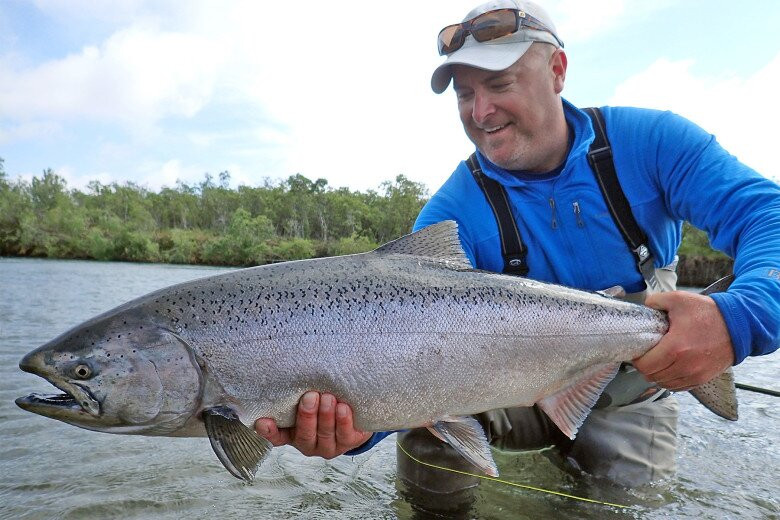 Cá hồi Chinook nguồn gốc Bắc Thái Bình Dương, sông Châu Á. Cá hồi Chinook được đánh giá cao vì kích thước lớn, vị đậm đà và chắc thịt. Ảnh: Getty
