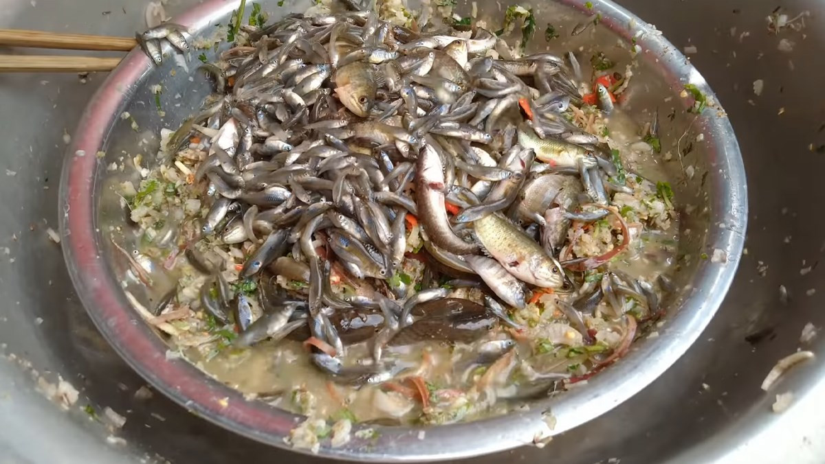 Gỏi cá nhảy là “đặc sản” của người Thái ở Tây Bắc. Món ăn này sử dụng những con cá nhỏ, kích thước bằng đầu ngón tay, rửa sạch với muối, sau đó thả vào một chậu nước để trên mâm. Ảnh: Bachoaxanh