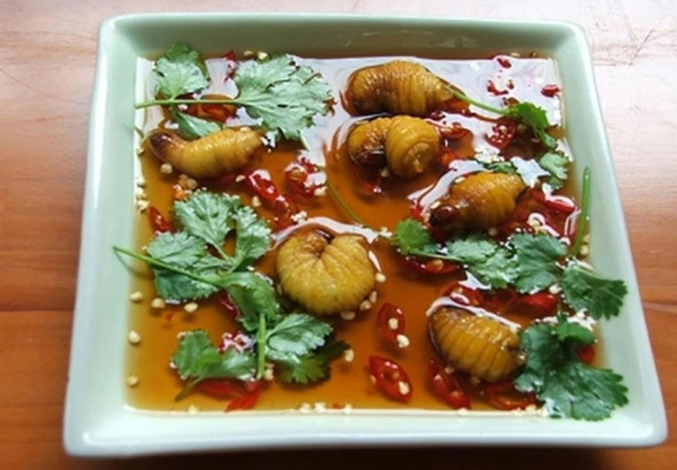 Trên thị trường đuông dừa đông lạnh có giá khoảng 10.000 - 15.000 VNĐ/con. Đuông dừa to bằng đầu ngón tay cái béo tròn có giá khoảng 22.000-25.000VNĐ/con. Ảnh: Baongehan