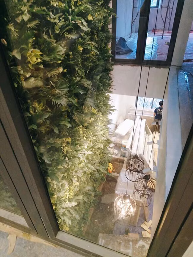 Cây xanh được cho là điểm nhấn đặc sắc trong ngôi nhà. Ảnh: FBNV