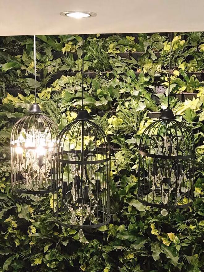 Mọi góc đều tràn ngập màu xanh của hoa lá. Ảnh: FBNV