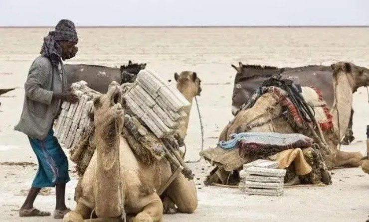 Làm việc ngoài trời trong thời tiết này thật chẳng khác nào đưa mình vào lò lửa. Thế nhưng, họ phải làm việc cả ngày từ sáng đến tối, cả năm không có ngày nghỉ và họ bắt đầu chịu ảnh hưởng không nhỏ đến sức khỏe.