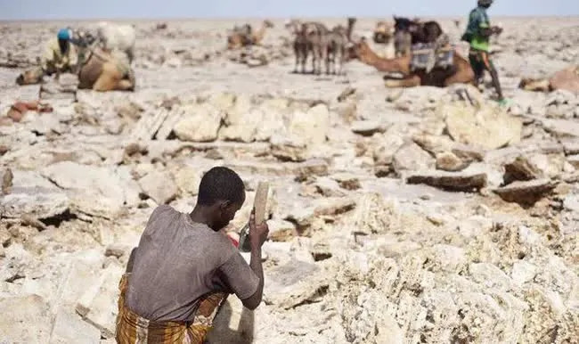 Nghề khai thác muối ở Ethiopia được ví như "dưới địa ngục" bởi môi trường làm việc trên sa mạc với nền nhiệt độ rất cao, có thể lên đến hơn 50 độ C.