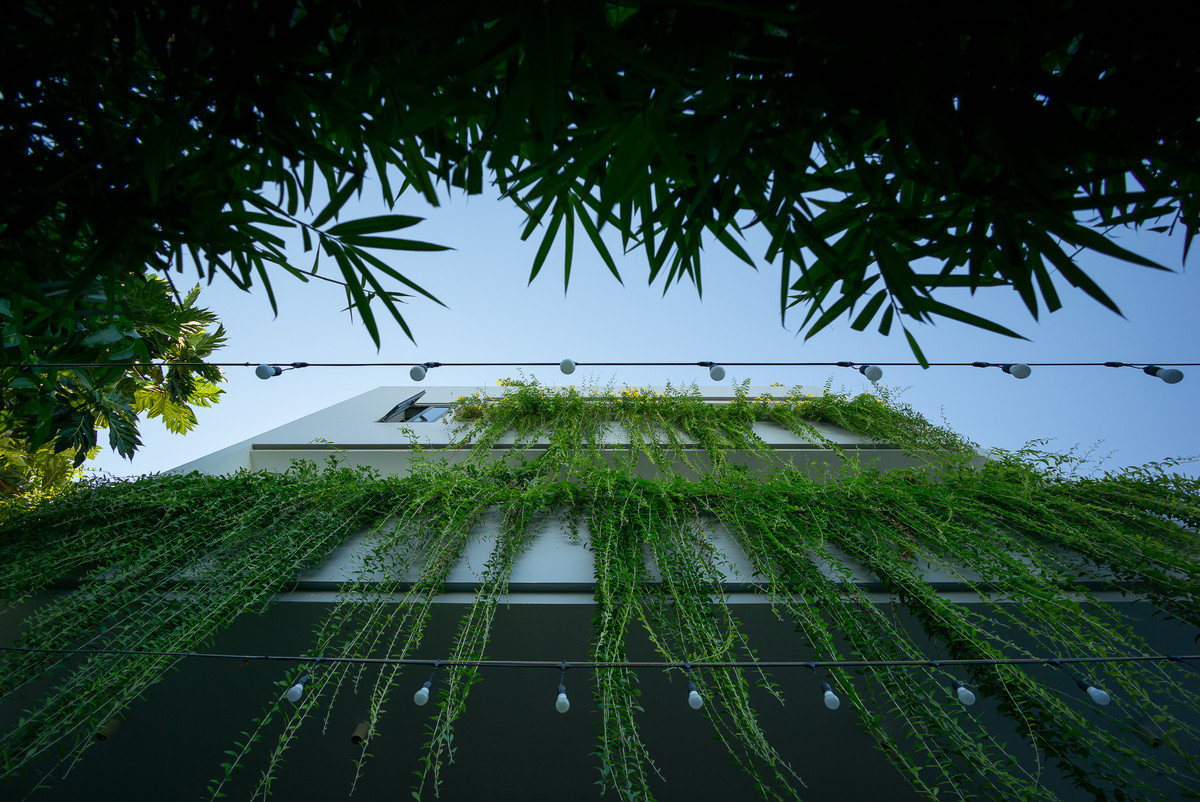 Cây xanh tạo bức màn tự nhiên che bớt ánh nắng đồng thời giúp môi trường sống thoáng đãng.