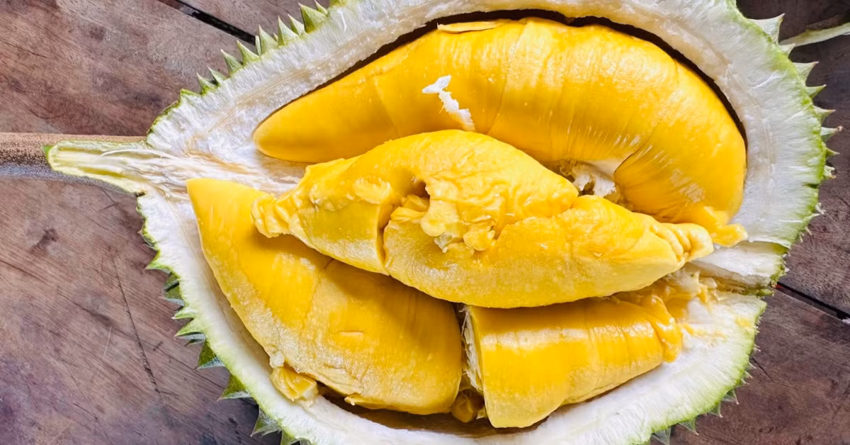 Tại Việt Nam, có thời điểm, sầu riêng Musang King trồng tại miền Tây dao động 500.000-850.000 đồng/kg chưa tách vỏ, tương đương 1,5-1,8 triệu đồng một kg đã tách vỏ. Trong khi loại này nhập từ Malaysia (tách vỏ, đông lạnh) có giá 1,3-1,5 triệu đồng một kg cho hàng loại A. Ảnh: Vietnamnet