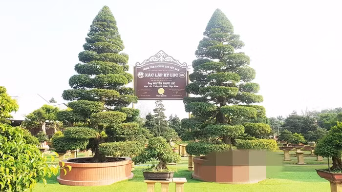 Can canh “cu” me co nhat Viet Nam, khach tra 10 ty khong ban